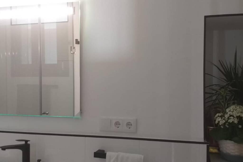Apartment Casa Libelula, Loft En El Centro De Sevilla.
