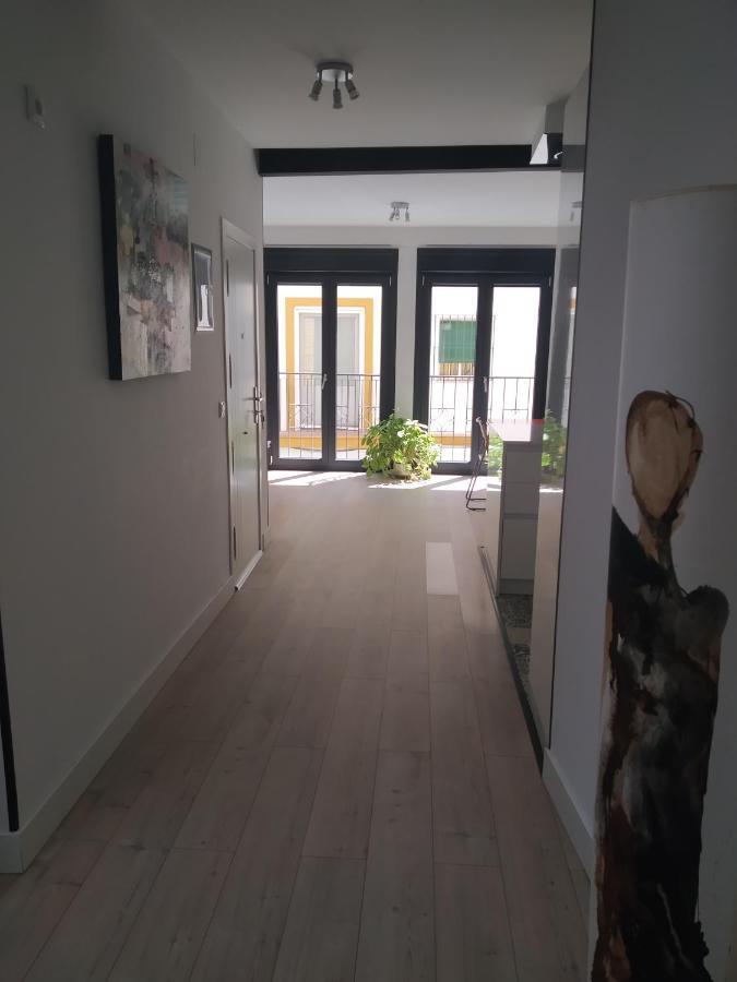 Apartment Casa Libelula, Loft En El Centro De Sevilla. *